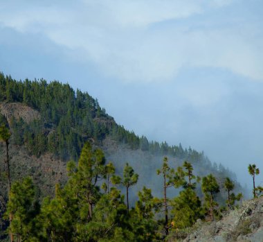 Volkan Teide ve lav sahne Teide Milli Parkı'nda, Teide Milli Parkı Tenerife, Kanarya Adaları, İspanya caldera Rocky volkanik manzara