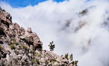 Volkan Teide ve lav sahne Teide Milli Parkı'nda, Teide Milli Parkı Tenerife, Kanarya Adaları, İspanya caldera Rocky volkanik manzara