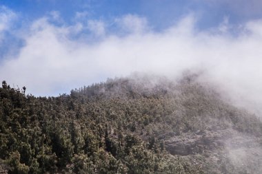 Volkan Teide ve lav sahne Teide Milli Parkı'nda, Teide Milli Parkı Tenerife, Kanarya Adaları, İspanya caldera Rocky volkanik manzara