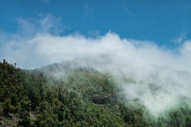 Volkan Teide ve lav sahne Teide Milli Parkı'nda, Teide Milli Parkı Tenerife, Kanarya Adaları, İspanya caldera Rocky volkanik manzara