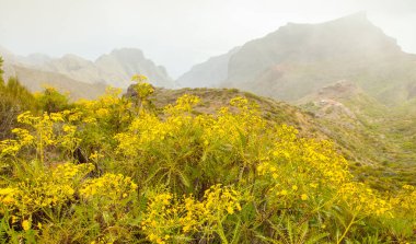 Volkan Teide ve lav sahne Teide Milli Parkı'nda, Teide Milli Parkı Tenerife, Kanarya Adaları, İspanya caldera Rocky volkanik manzara