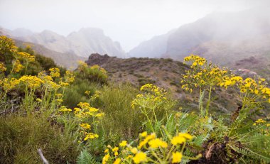 Volkan Teide ve lav sahne Teide Milli Parkı'nda, Teide Milli Parkı Tenerife, Kanarya Adaları, İspanya caldera Rocky volkanik manzara