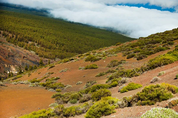 Vulkán Láva Teide Táj Teide Nemzeti Park Sziklás Vulkanikus Táj — Stock Fotó