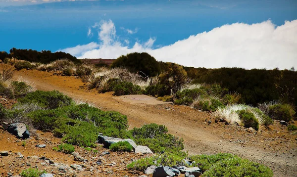 Vulkán Láva Teide Táj Teide Nemzeti Park Sziklás Vulkanikus Táj — Stock Fotó
