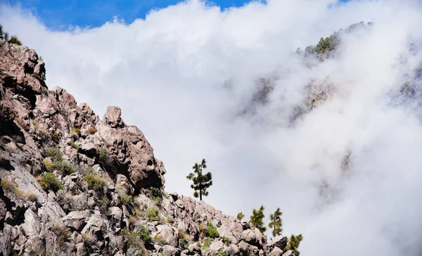 Teide 国家公园的火山 Teide 和熔岩风景 Teide 国家公园的火山口 西班牙 加那利群岛的岩石火山岩景观 — 图库照片