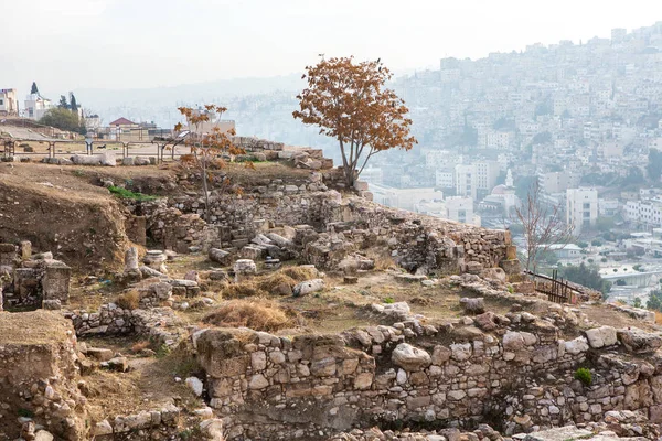 Letecký Pohled Město Ammán Hlavní Město Jordánska Cityscape Amman — Stock fotografie