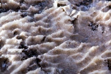 Ürdün 'de gün batımında Ölü Deniz kıyısı manzarası. Gün batımında tuz kristalleri. Mineral yapıları olan ölü deniz manzarası.