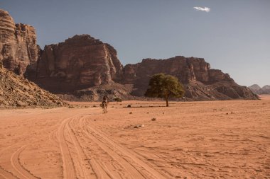 Ürdün 'deki Wadi Rum Çölü. Günbatımında. Kum tepeciğindeki güzel kum desenli panorama. Ürdün 'deki çöl manzarası.