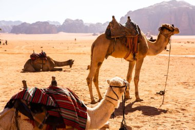 Ürdün 'deki Wadi Rum Çölü. Günbatımında. Kum tepeciğindeki güzel kum desenli panorama. Ürdün 'deki çöl manzarası.
