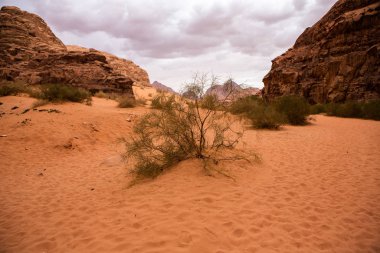 Ürdün 'deki Wadi Rum Çölü. Günbatımında. Kum tepeciğindeki güzel kum desenli panorama. Ürdün 'deki çöl manzarası.