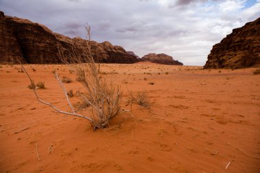 Ürdün 'deki Wadi Rum Çölü. Günbatımında. Kum tepeciğindeki güzel kum desenli panorama. Ürdün 'deki çöl manzarası.