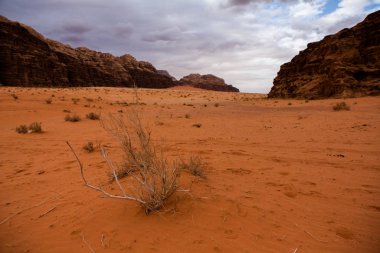 Ürdün 'deki Wadi Rum Çölü. Günbatımında. Kum tepeciğindeki güzel kum desenli panorama. Ürdün 'deki çöl manzarası.