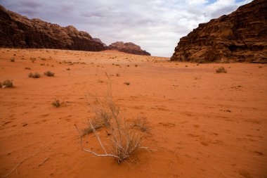 Ürdün 'deki Wadi Rum Çölü. Günbatımında. Kum tepeciğindeki güzel kum desenli panorama. Ürdün 'deki çöl manzarası.