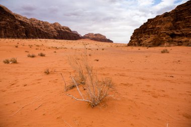 Ürdün 'deki Wadi Rum Çölü. Günbatımında. Kum tepeciğindeki güzel kum desenli panorama. Ürdün 'deki çöl manzarası.