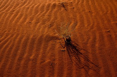 Ürdün 'deki Wadi Rum Çölü. Günbatımında. Kum tepeciğindeki güzel kum desenli panorama. Ürdün 'deki çöl manzarası.