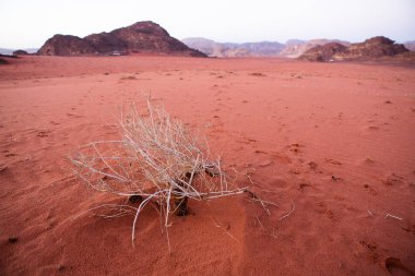 Ürdün 'deki Wadi Rum Çölü. Günbatımında. Kum tepeciğindeki güzel kum desenli panorama. Ürdün 'deki çöl manzarası.