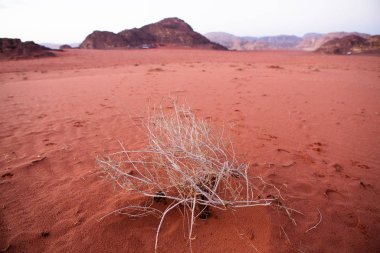 Ürdün 'deki Wadi Rum Çölü. Günbatımında. Kum tepeciğindeki güzel kum desenli panorama. Ürdün 'deki çöl manzarası.