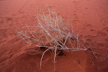 Ürdün 'deki Wadi Rum Çölü. Günbatımında. Kum tepeciğindeki güzel kum desenli panorama. Ürdün 'deki çöl manzarası.