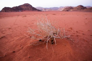 Ürdün 'deki Wadi Rum Çölü. Günbatımında. Kum tepeciğindeki güzel kum desenli panorama. Ürdün 'deki çöl manzarası.