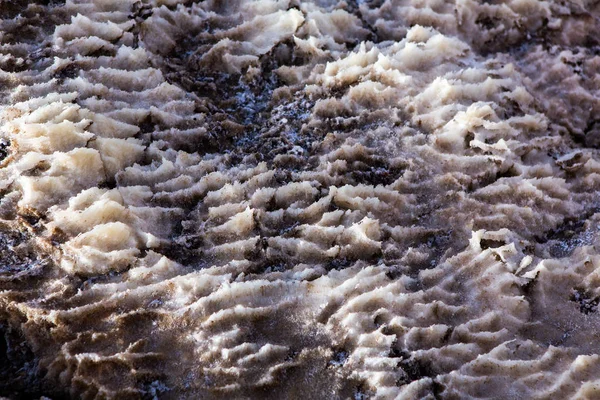 Zicht Dode Zee Kustlijn Bij Zonsondergang Jordanië Zoutkristallen Bij Zonsondergang — Stockfoto
