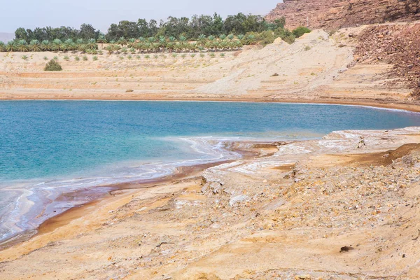 View Dead Sea Coastline Sunset Time Jordan Salt Crystals Sunset — 스톡 사진