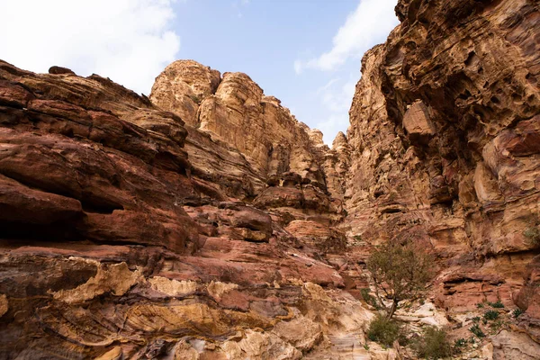 Schoonheid Van Rotsen Oude Architectuur Petra Jordanië Oude Tempel Petra — Stockfoto