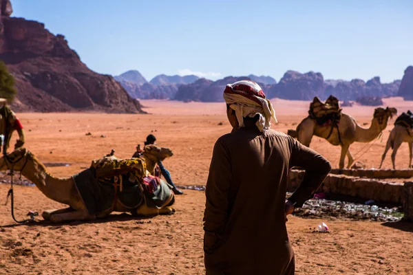 Pustynia Wadi Rum Jordanii Zachodzie Słońca Panorama Pięknego Piasku Wydmie — Zdjęcie stockowe