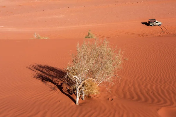 Пустыня Вади Рам Иордании Закате Панорама Красивого Песчаного Рисунка Дюне — стоковое фото