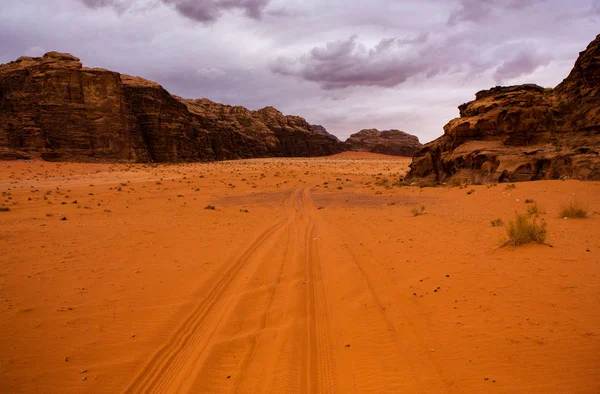 Wadi Rum Desert Jordan Sunset Panorama Beautiful Sand Pattern Dune — Stock Photo, Image