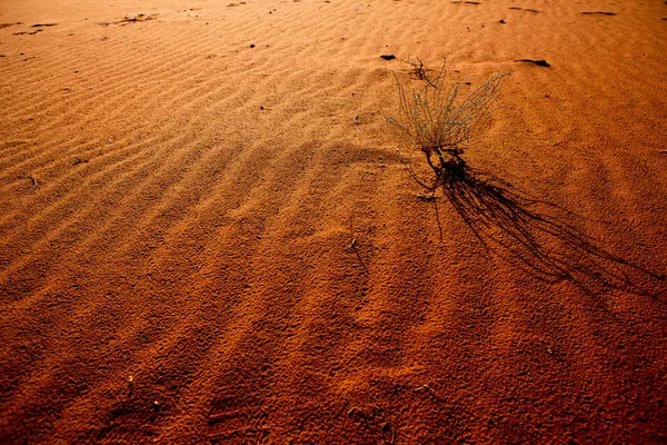 Wadi Rum Wüste Jordanien Sonnenuntergang Panorama Von Schönen Sandmuster Auf — Stockfoto