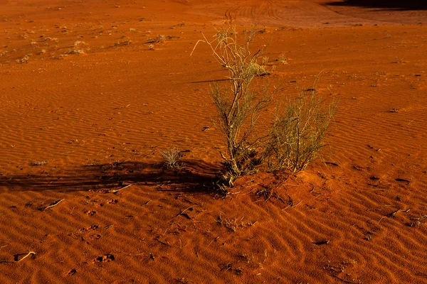 Wadi Rum Desert Jordania Puesta Del Sol Panorama Hermoso Patrón — Foto de Stock