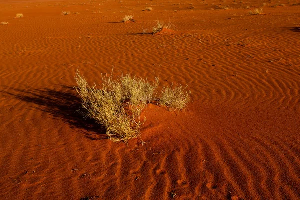 Wadi Rum Desert Jordania Puesta Del Sol Panorama Hermoso Patrón — Foto de Stock