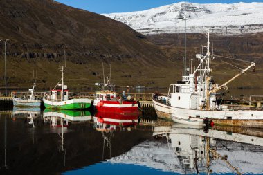 Doğu İzlanda 'daki küçük Seydisfjordur kasabasının manzarası. Resimli kırsal kasaba. İzlanda 'nın güzel manzarası.