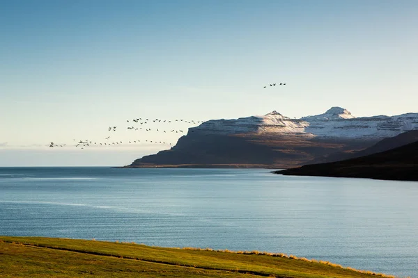 Natureza Outono Colorido Viaje Islândia Bela Paisagem Islandesa Com Montanhas — Fotografia de Stock