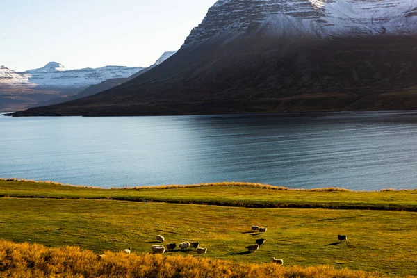 Colorful Autumn Nature Travel Iceland Beautiful Icelandic Landscape Mountains Sky — ストック写真