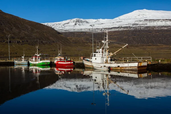 Scenic View Small Town Seydisfjordur East Iceland Picturesque Rural Town — ストック写真