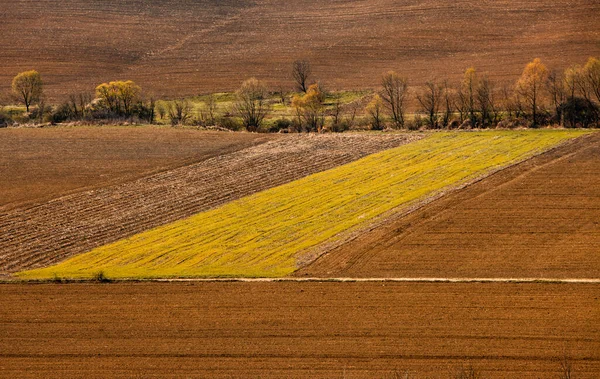 Una Vista Sul Campo Agricolo Campagna Una Giornata Estiva Soleggiata — Foto Stock