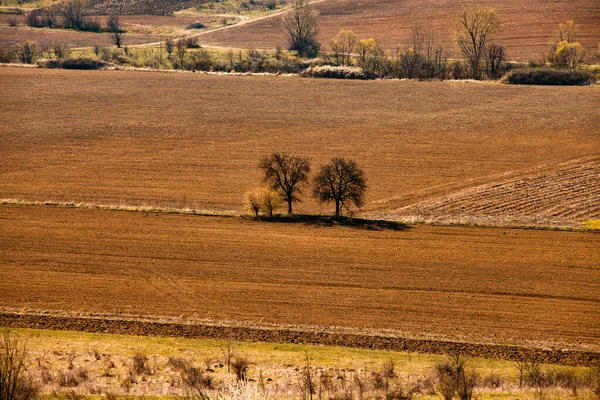 Widok Pola Rolnego Kraju Słoneczny Letni Dzień Gleba Uprawiane Brud — Zdjęcie stockowe