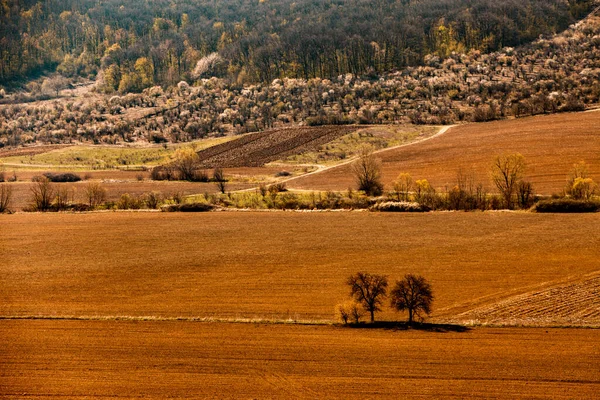 Widok Pola Rolnego Kraju Słoneczny Letni Dzień Gleba Uprawiane Brud — Zdjęcie stockowe