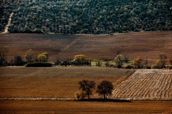 Μια Άποψη Του Αγροτικού Τομέα Της Χώρας Μια Ηλιόλουστη Καλοκαιρινή — Φωτογραφία Αρχείου