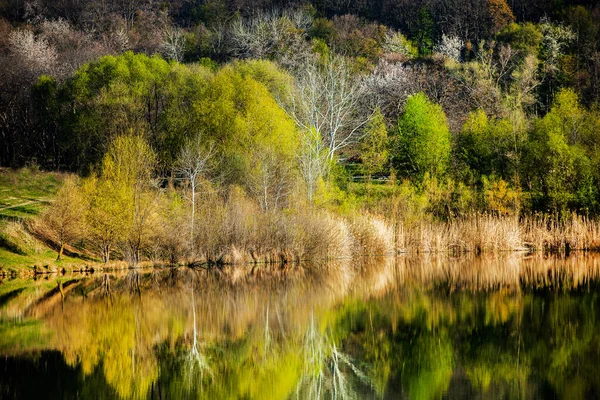 Foto Lago Alberi Con Foglie Colorate Una Serata Primavera Moldavia — Foto Stock