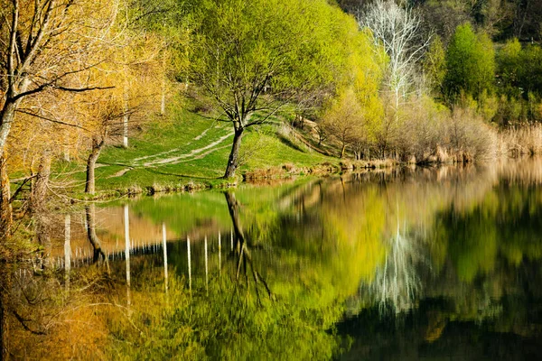 Obraz Jeziora Drzew Kolorowych Liści Wieczór Wiosną Mołdawii Krajobraz Wiejski — Zdjęcie stockowe