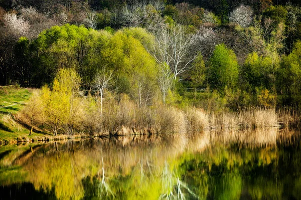 Imagen Lago Árboles Con Hojas Colores Una Noche Primavera Moldavia — Foto de Stock