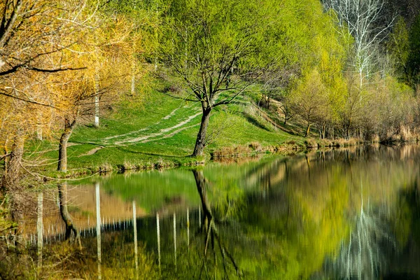 Изображение Озера Деревьев Разноцветными Листьями Вечером Весной Молдове Сельский Пейзаж — стоковое фото