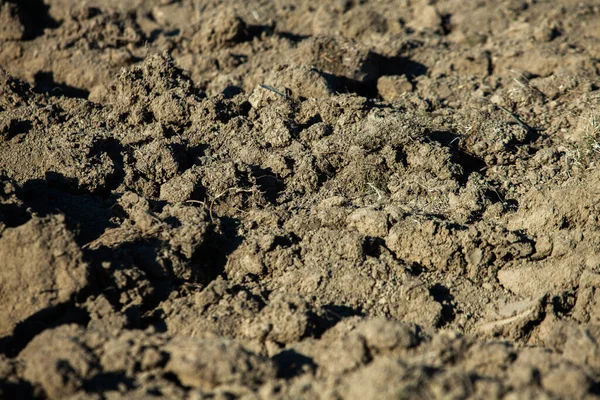 フィールド土壌 農地の汚れの暗褐色の質感 地球表面 地面の土地マークの背景とパターン ダークブラウン肥沃な土壌 — ストック写真