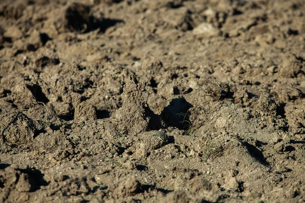 Terreno Campo Struttura Marrone Scuro Sporcizia Terreno Agricolo Sfondo Modello — Foto Stock