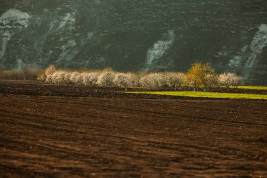 Kahverengi tarım toprağının dokusu. Çiftlikte güzel bir gün doğumu. Moldova 'daki Çiftlik, Avrupa. Sebze tohumları ekmek için taze sürülmüş bahar tarlası..