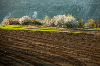 Kahverengi tarım toprağının dokusu. Çiftlikte güzel bir gün doğumu. Moldova 'daki Çiftlik, Avrupa. Sebze tohumları ekmek için taze sürülmüş bahar tarlası..
