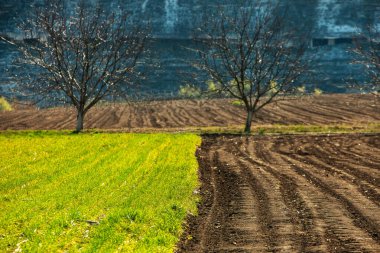 Kahverengi tarım toprağının dokusu. Çiftlikte güzel bir gün doğumu. Moldova 'daki Çiftlik, Avrupa. Sebze tohumları ekmek için taze sürülmüş bahar tarlası..