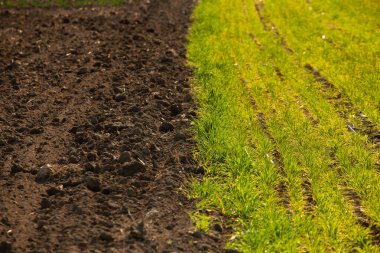 Kahverengi tarım toprağının dokusu. Çiftlikte güzel bir gün doğumu. Moldova 'daki Çiftlik, Avrupa. Sebze tohumları ekmek için taze sürülmüş bahar tarlası..